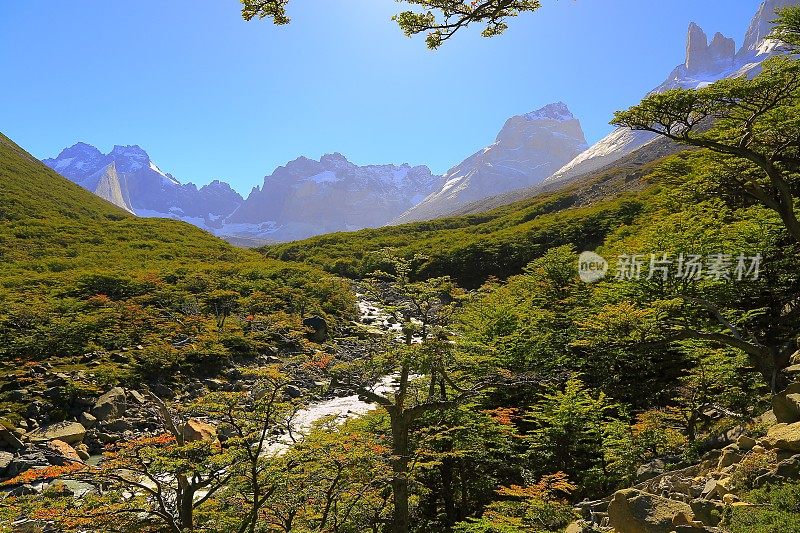 Cuernos Del Paine法国河谷，智利巴塔哥尼亚森林景观